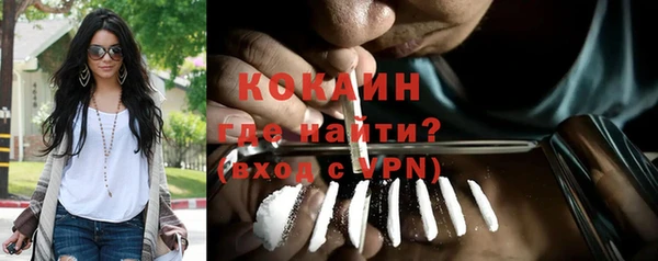 ГАЛЛЮЦИНОГЕННЫЕ ГРИБЫ Дмитриев