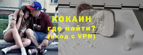 ГАЛЛЮЦИНОГЕННЫЕ ГРИБЫ Дмитриев