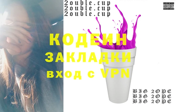 ГАЛЛЮЦИНОГЕННЫЕ ГРИБЫ Дмитриев