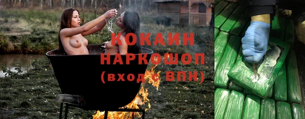 ГАЛЛЮЦИНОГЕННЫЕ ГРИБЫ Дмитриев