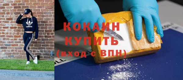 ГАЛЛЮЦИНОГЕННЫЕ ГРИБЫ Дмитриев