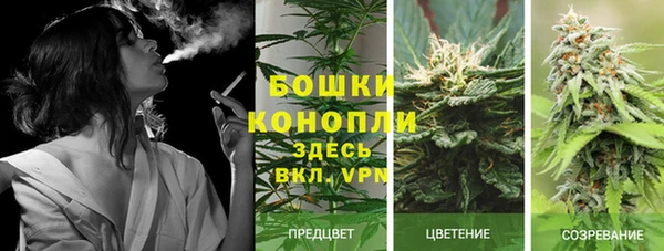 ГАЛЛЮЦИНОГЕННЫЕ ГРИБЫ Дмитриев