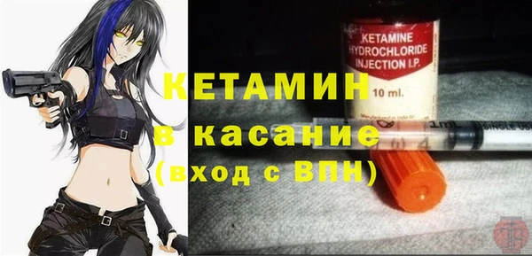 ГАЛЛЮЦИНОГЕННЫЕ ГРИБЫ Дмитриев