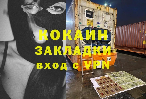 ГАЛЛЮЦИНОГЕННЫЕ ГРИБЫ Дмитриев