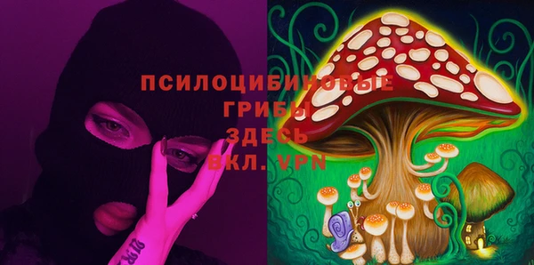 ГАЛЛЮЦИНОГЕННЫЕ ГРИБЫ Дмитриев
