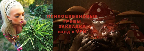 дживик Дмитровск