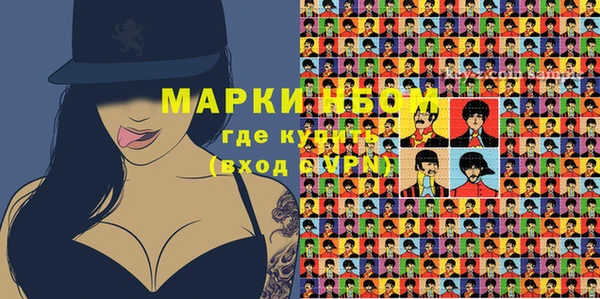 ГАЛЛЮЦИНОГЕННЫЕ ГРИБЫ Дмитриев