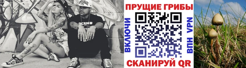 Купить закладки  Пучеж  Галлюциногенные грибы Magic Shrooms 
